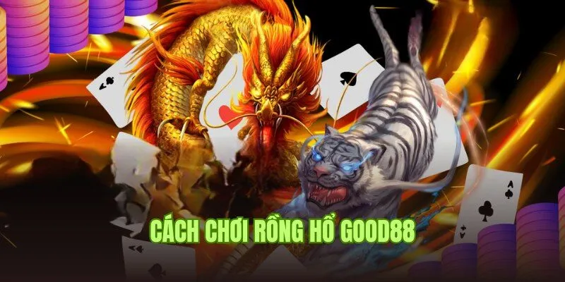 Cách Chơi Rồng Hổ Chuẩn 100% Theo Chuyên Gia Good88 2 Cách chơi một ván game Rồng Hổ cho người mới