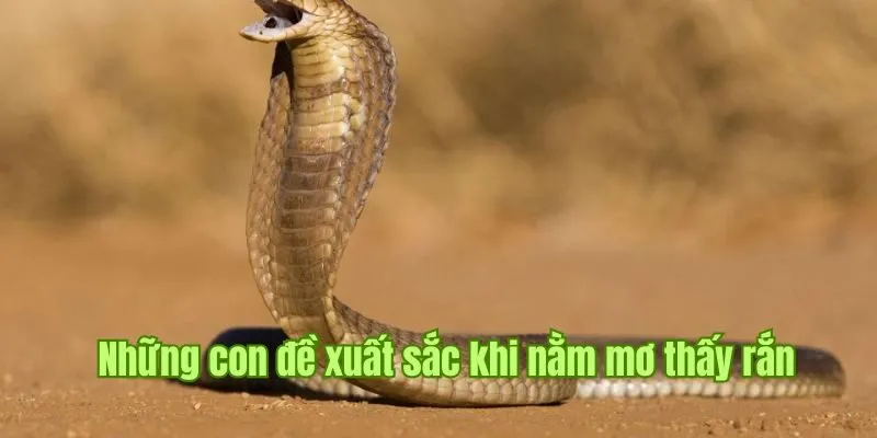 Nằm Mơ Thấy Rắn Good88 - Cùng Khám Phá Bí Ẩn Từ Chiêm Bao 3 Những con đề xuất sắc khi gia chủ chiêm bao loài động vật này